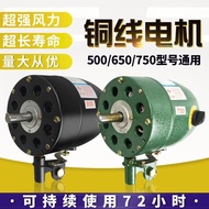 Industrial Fan Motor 500/650/750mm High Power Motor Motor Wall Fan Floor Fan Horn Fan Motor 2PTX