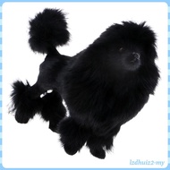 [LzdhuizbcMY] Simulation Poodle Dog Model Poodle Toy Figure Home Decoration Kids Gift