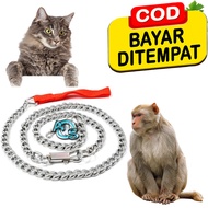 Rantai Anjing Monyet Hewan Pengikat Kucing Musang Oter Dog Chain