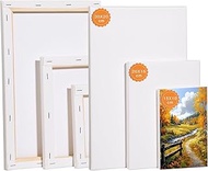 Canvas Set of 6, 30 x 20.20 x 15.15 x 10 cm Each 2 Pieces Canvas for Painting Stretcher Frame Canvas
