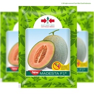 EASTWEST SEED - BENIH ROCK MELON NEW MADESTA F1 ORIGINAL PACK INDONESIA