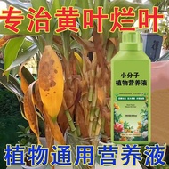 Universal Flower Fertilizer Molecular Nutrient Liquid Concentrated Flower Artifact Special for Flowe