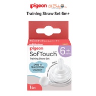 Pigeon SofTouch Wide Neck PP Bottle 2-Step Straw Bottle Set 8oz/240ml 6m+