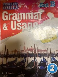 Developing skills grammar& usage 2
