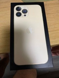 Iphone 13 pro max 128g連case