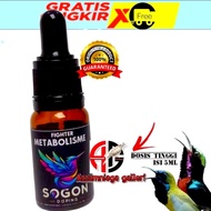 METABOLISME FIGHTER  SOGON METABOLISME  PLECI
