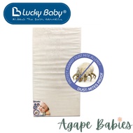 142868 Lucky Baby I-Breathe AllerFree High Density Anti Dust-Mite Mattress For playpen size -28"X41"