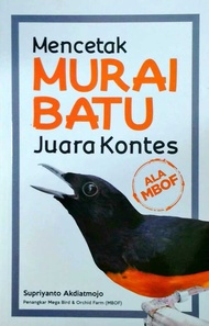 Mencetak Murai Batu Juara Kontes