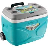 Pinnacle Prudence Ice Cooler Box (Keeps Cold Upto 72 Hours) (30L)