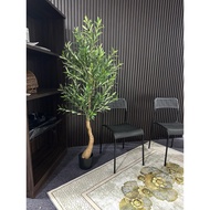 🇲🇾Artificial Olive Tree Premium Quality  Pokok Olive 150cm / 180cm