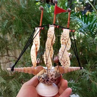 Galleon ship seashell decoration