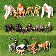 Simulation Wild Animals Model Mandrill Chimpanzee Gorilla Gibbon Monkey Action Figures Educational