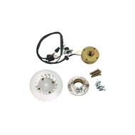 premium-DIO High Speed ATV Magneto Stator Coil Ignition