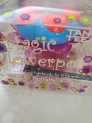 Tangle Teezer Hairbrush