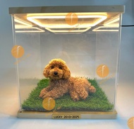 羊毛氈藝術品來圖訂製 (配高級LED燈展示櫃 、名牌、仿草地)。