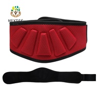 NEXTSS Workout Waist Belt, Waist Protection
