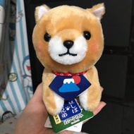 Amuse豆柴三兄弟