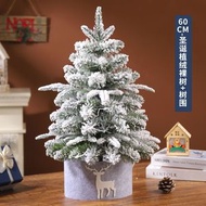 【45/60cm迷你聖誕樹】桌面小聖誕樹擺飾 | 家用聖誕裝飾 | 聖誕禮物
