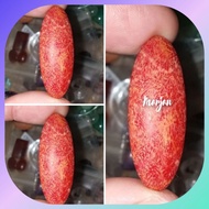 Marjan (Red Coral) Original natural