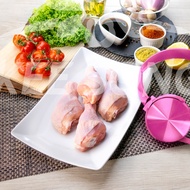 Frozen Lacto Chicken Drumstick – 500g