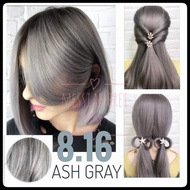 BREMOD 8.16 ASH GRAY HAIR COLOR SET WITH OXIDIZING