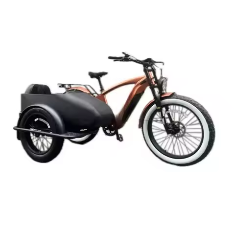 hidden lithium battery etrike sidecar Electric bicycle sidecar adult electric tricycle electric carg