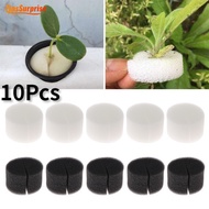 [Surprise] 10Pcs Vegetable Cultivate Gardening Tools Home Balcony Soilless Culture Fixed Implant Sponge Cylinder Grow Seedlings Sponge