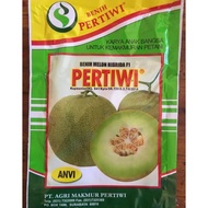 Benih Bibit Melon Pertiwi Anvi berkualitas