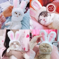 Cat Hat Pet Warm Hat Cute Rabbit Ear Hat Lamb Fleece Cat Hat Cat Headgear