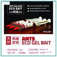 Pest Asia Eco Ant Bait Umpan Semut