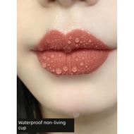 lip gloss waterproof lip tint stick lip Lipstick Raincoat Whitening Waterproof