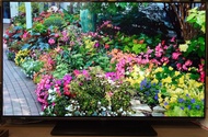 Panasonic 48" 吋 inches 4K OLED TV 電視機 TH-48LZ1000H