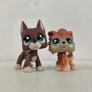 【Ready Stock】littlest pet shop Pets Doll Cat Dog Chihuahua Figure Toys littlest pet shop house littl