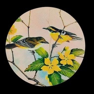 Thrush Bird Cage Top Fabric Cover Bird Cage Inner Top Anti-Collision Shading Cage Top Cover Cage Clo