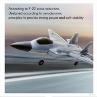 Fx822 Remote Control Fighter Aircraft  Two Channel Fixed Wing Glider Foam Model F22 Best Birthday Gi