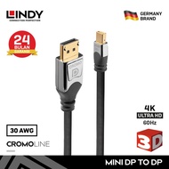 LINDY 0.5M Kabel Mini DisplayPort DP to Display Port 4K 21.6Gbps Cable