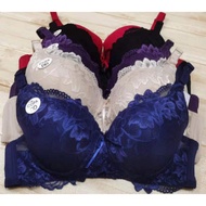 Plus Size D (40D-50D) Women Wired Bra 2206 -1288