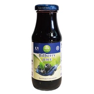 【天廚】100%藍莓汁200ml(200mlx1)