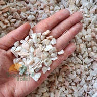 (20kg / 40kg) White Chipping River Pebble Stone Gardening Landscape Decoration Batu Hiasan Putih 鹅卵石