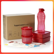 Tupperware On The Go Box Executive Eco Set 450ml Snack N All 750ml Eco Bottle Lunch Box 620ml Bekas Maroon Design