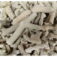 Coral Stone Coral Bone Batu Karang Bio Filter Media Aquarium Fish Tank 珊瑚石