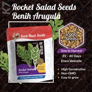 [10g] K7 Benih Salad Rocket Arugula Soon Huat Seeds