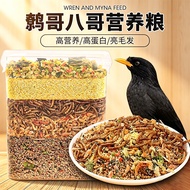 Starling Special Feed Nutritious Bird Food Bird Food Food Food Food Food Snacks Bird Food Mixed Star