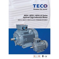 Teco IE1 Standard Efficiency Squirrel Cage Induction Motor 3HP 2.2 KW 380-415V IP55 Foot Mounted