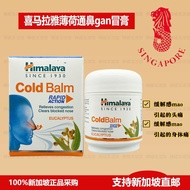 Singapore Purchase India Himalaya Himalaya Mint Nasal Cold Cream 45G Headache Body Pain 10.29.1