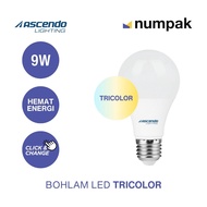 Ascendo LED Bulb Tricolor 9 Watt E27