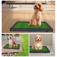 Basin Induction Other Toilets Male Dogs Medium Small Size Automatic Item Fixed Point Dogs Dog Litter