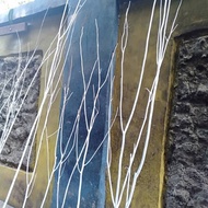 PUTIH Decorative white twigs