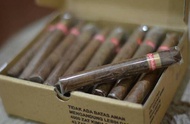 BEST SELLER CERUTU HAVANA EXTRA FINE