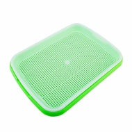 Microgreen Seedling Sprouter Nusery Plastic Tray